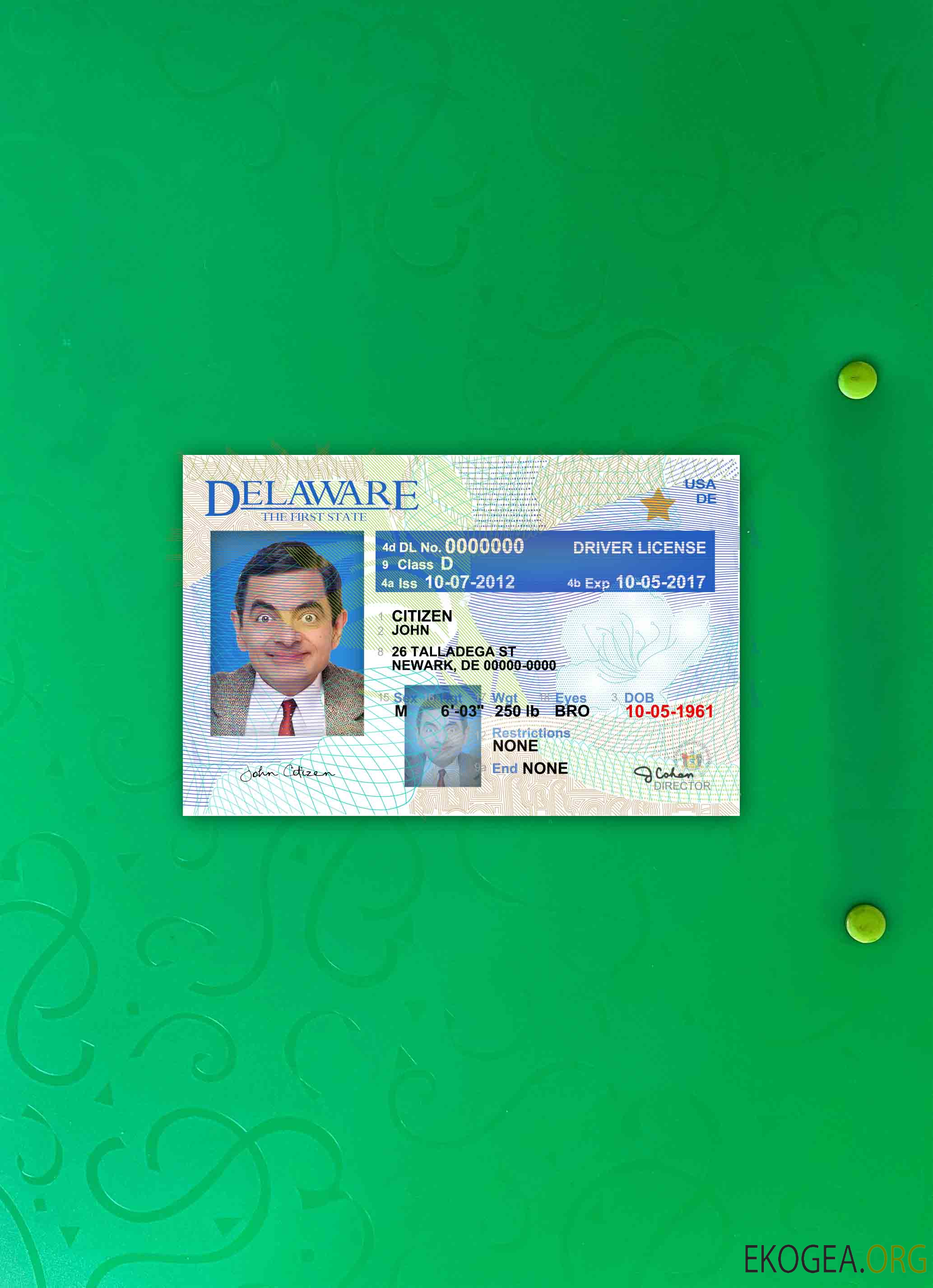 Permis de conduire USA Delaware version 2 photolook AVANT